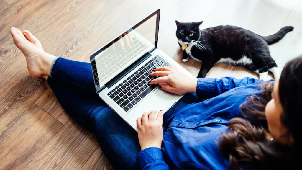 A data analyst sitting down, looking at a laptop screen