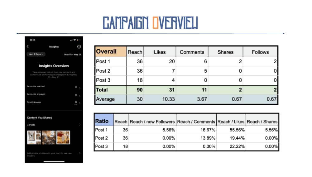 An overview of social media stats from Dani Rodriguez's digital marketing project.