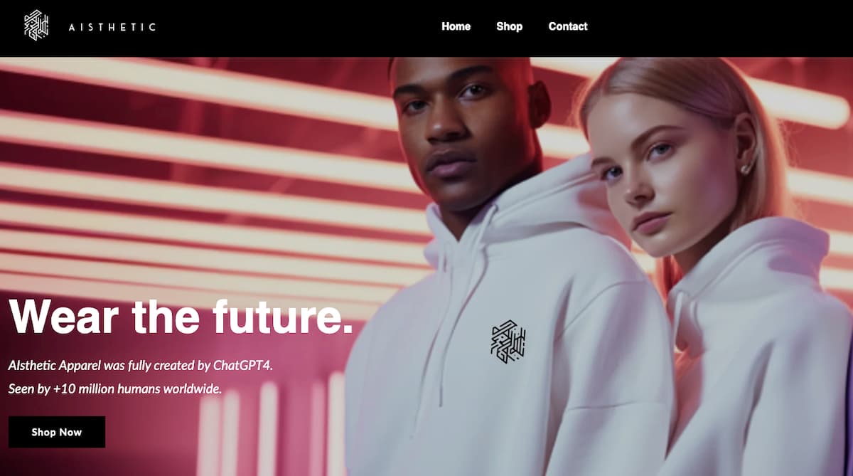 Screenshot from the AIsthetic Apparel website