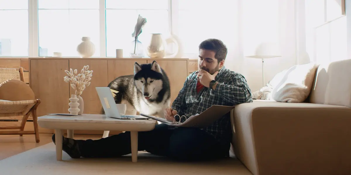 A remote web developer sitting on the floor at home, looking at a laptop.