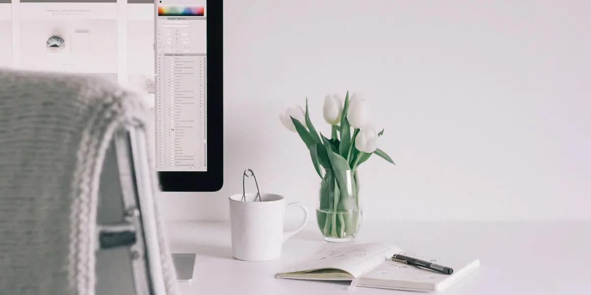 A plant on a desk next to a computer