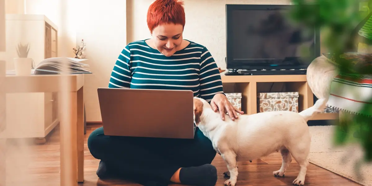 A Python bootcamp student working on a laptop, stroking a dog.